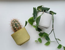 Load image into Gallery viewer, 4" Ridged Planter