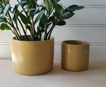 Load image into Gallery viewer, Cylinder Planter- 5" and 7" Mustard