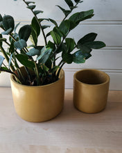 Load image into Gallery viewer, Cylinder Planter- 5" and 7" Mustard