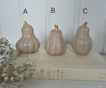 Load image into Gallery viewer, Gourds Decor- Beige