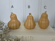 Load image into Gallery viewer, Gourds Decor- Butternut