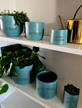 Load image into Gallery viewer, Concrete Plant Pots- Azure Blue | 3" 4" 5" 7"