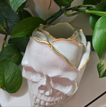Load image into Gallery viewer, Rose Petal Skull