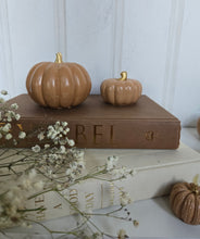 Load image into Gallery viewer, Pumpkin Decor- Caramel