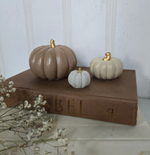 Load image into Gallery viewer, Pumpkin Decor- Brown