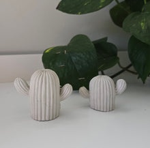 Load image into Gallery viewer, Cactus Decor- White