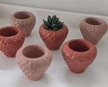 Load image into Gallery viewer, Strawberry Planter