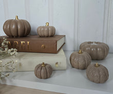 Load image into Gallery viewer, Pumpkin Decor- Brown