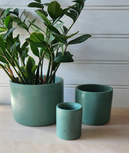 Load image into Gallery viewer, Cylinder Planter- 3" 5" 7" Emerald Coast