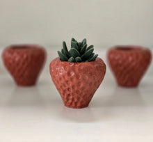 Load image into Gallery viewer, Strawberry Planter