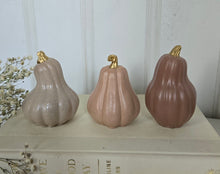 Load image into Gallery viewer, Gourds Decor- Peach