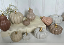 Load image into Gallery viewer, Gourds Decor- Beige