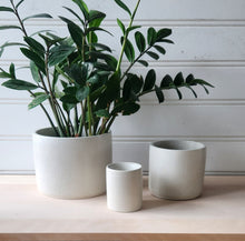 Load image into Gallery viewer, Cylinder Planter- 3" 5" 7" Blush & Olive