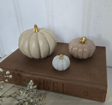 Load image into Gallery viewer, Pumpkin Decor- Cream