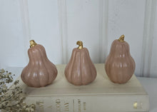 Load image into Gallery viewer, Gourds Decor- Peach