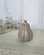 Load image into Gallery viewer, Gourds Decor- Beige