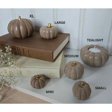 Load image into Gallery viewer, Pumpkin Decor- Brown