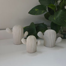 Load image into Gallery viewer, Cactus Decor- White