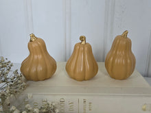 Load image into Gallery viewer, Gourds Decor- Butternut