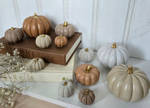 Load image into Gallery viewer, Pumpkin Decor- Caramel