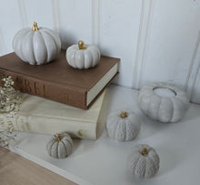 Load image into Gallery viewer, Pumpkin Decor- White