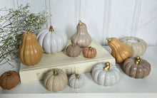 Load image into Gallery viewer, Gourds Decor- Butternut