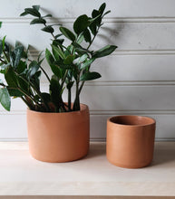 Load image into Gallery viewer, Cylinder Planter- 5" and 7" Terracotta