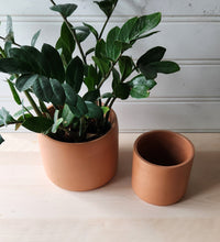 Load image into Gallery viewer, Cylinder Planter- 5" and 7" Terracotta