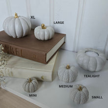 Load image into Gallery viewer, Pumpkin Decor- White