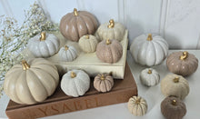 Load image into Gallery viewer, Pumpkin Decor- Brown