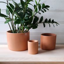 Load image into Gallery viewer, Cylinder Planter- 3" 5" 7" Emerald Coast
