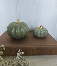 Load image into Gallery viewer, Pumpkin Decor- Green