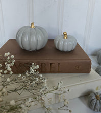 Load image into Gallery viewer, Pumpkin Decor- Blue