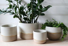 Load image into Gallery viewer, White & Taupe Collection