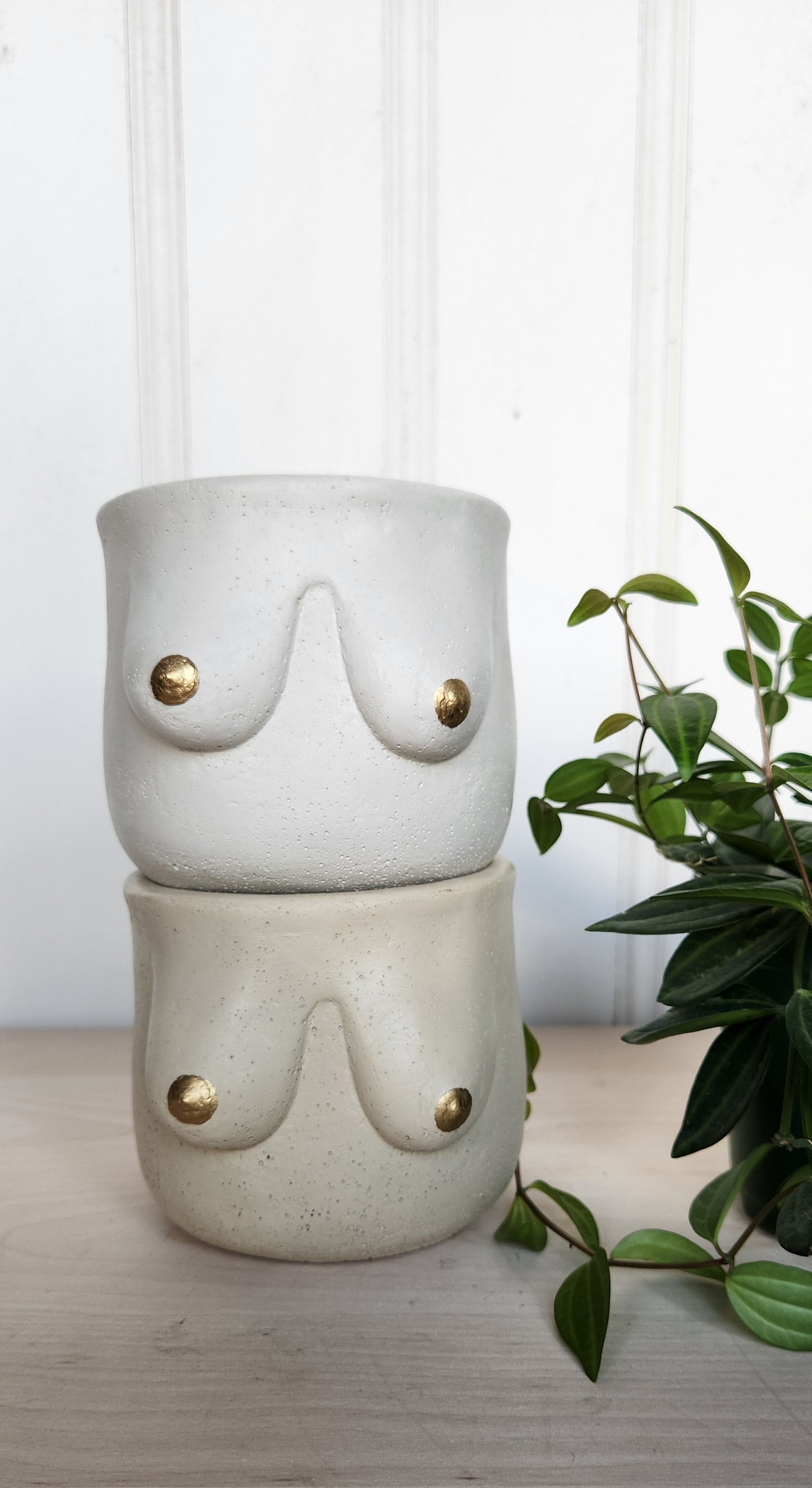 boob plant pots Golden Boob Pot – Plant 'er Here