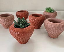 Load image into Gallery viewer, Strawberry Planter