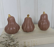 Load image into Gallery viewer, Gourds Decor- Mauve