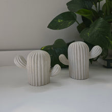 Load image into Gallery viewer, Cactus Decor- White