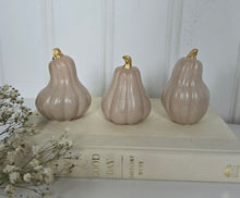 Load image into Gallery viewer, Gourds Decor- Beige
