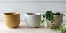 Load image into Gallery viewer, Tulip Planter- 5"