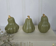 Load image into Gallery viewer, Gourds Decor- Olive