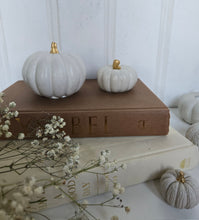 Load image into Gallery viewer, Pumpkin Decor- White