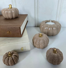 Load image into Gallery viewer, Pumpkin Decor- Brown
