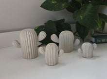 Load image into Gallery viewer, Cactus Decor- White