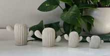 Load image into Gallery viewer, Cactus Decor- White