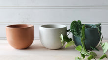 Load image into Gallery viewer, Tulip Planter- 5"