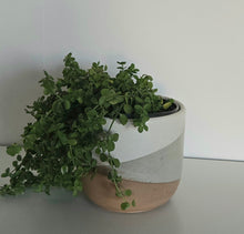 Load image into Gallery viewer, Sand to Sky Collection