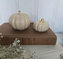 Load image into Gallery viewer, Pumpkin Decor- Cream