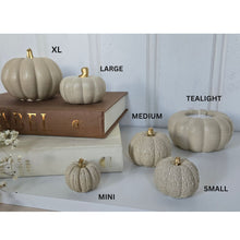 Load image into Gallery viewer, Pumpkin Decor- Cream