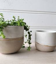 Load image into Gallery viewer, White & Taupe Collection